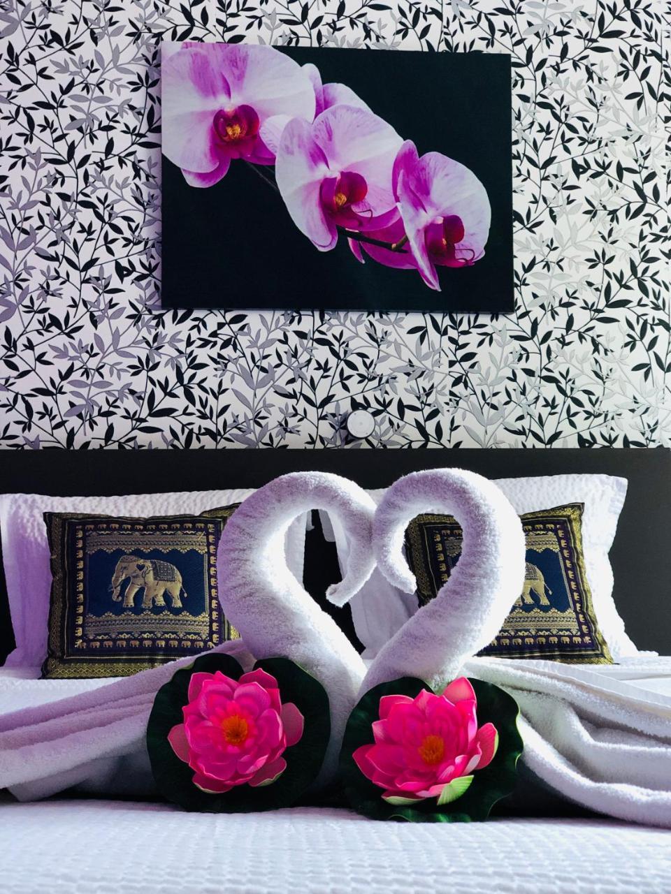 B&B Kookhai Kluisbergen Εξωτερικό φωτογραφία
